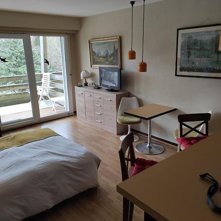 Residence Le Faucon - Col Du Donon Grandfontaine  Εξωτερικό φωτογραφία