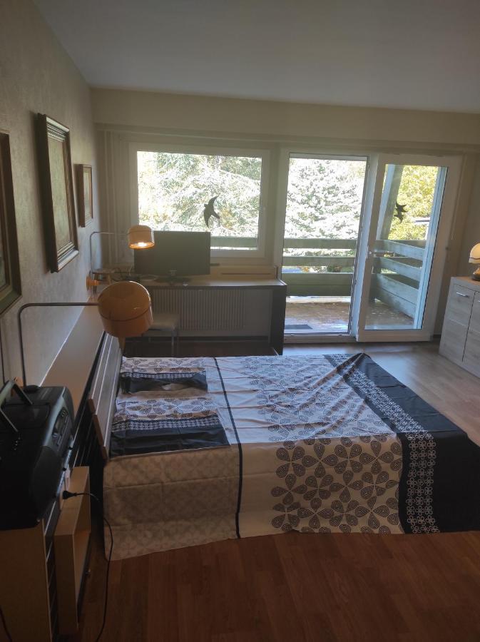 Residence Le Faucon - Col Du Donon Grandfontaine  Εξωτερικό φωτογραφία