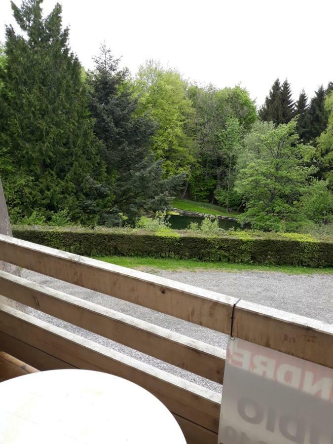Residence Le Faucon - Col Du Donon Grandfontaine  Εξωτερικό φωτογραφία